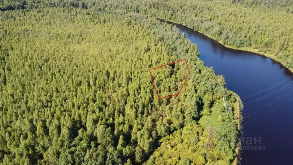 Участок в Карелия, Сортавальский муниципальный округ, Вяртсиля пгт  ... - Фото 1