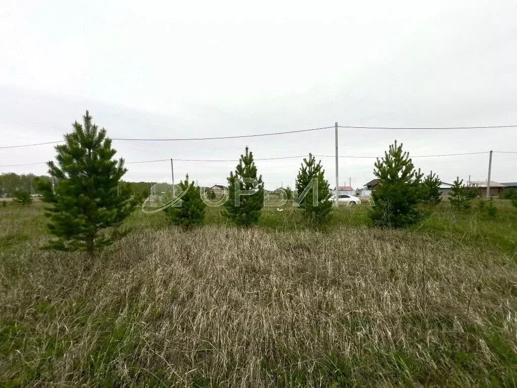 Участок в Тюменская область, Тюменский муниципальный округ, д. Елань, ... - Фото 2