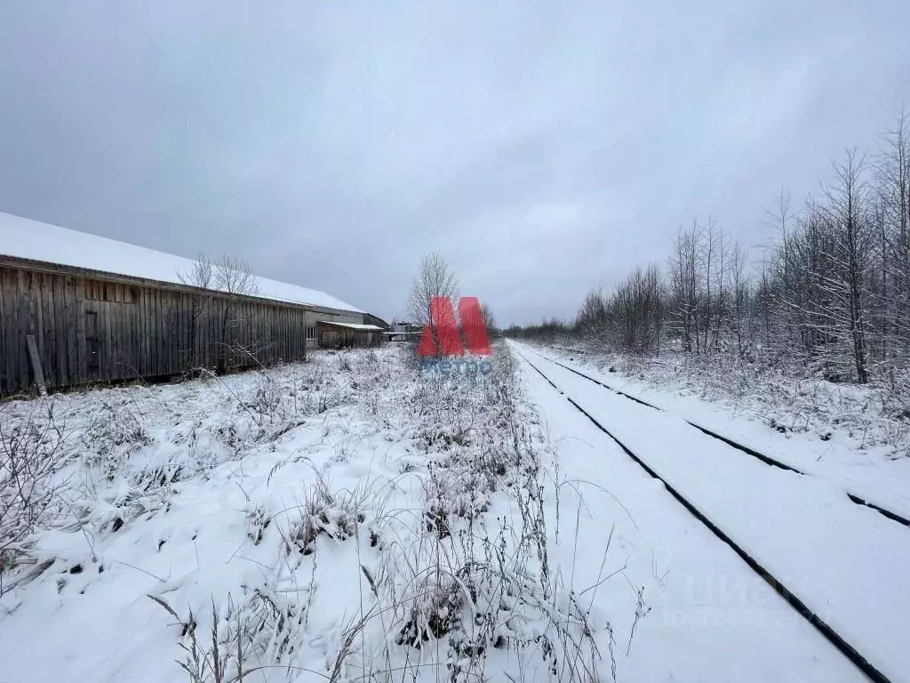 Производственное помещение в Ярославская область, Первомайский ... - Фото 1