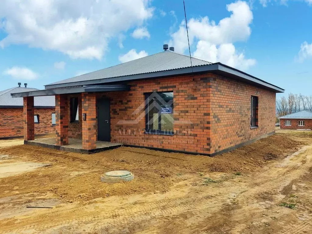 Дом в Татарстан, с. Пестрецы ул. Сафина, 9 (110 м) - Фото 1