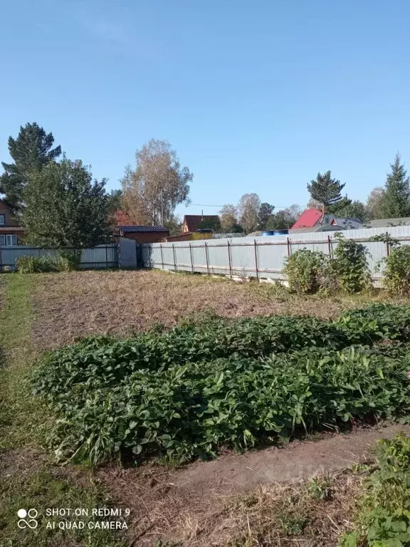 Участок в Новосибирская область, Новосибирский район, Плотниковский ... - Фото 0