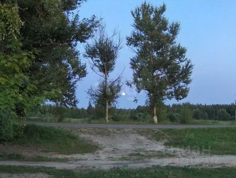 Дом в Брянская область, Суражский район, Дегтяревское с/пос, д. ... - Фото 1