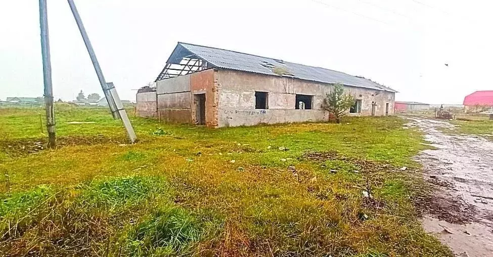 Участок в Тюменская область, Исетский муниципальный округ, с. Шорохово ... - Фото 1