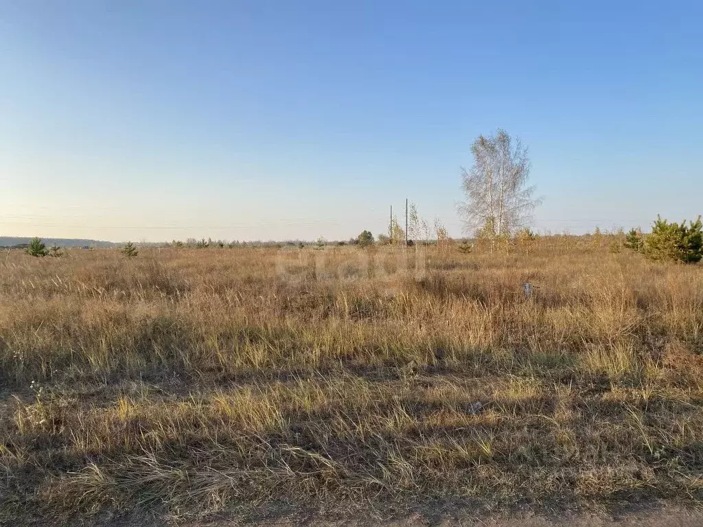 Участок в Ульяновская область, Ульяновск городской округ, с. Луговое ... - Фото 0