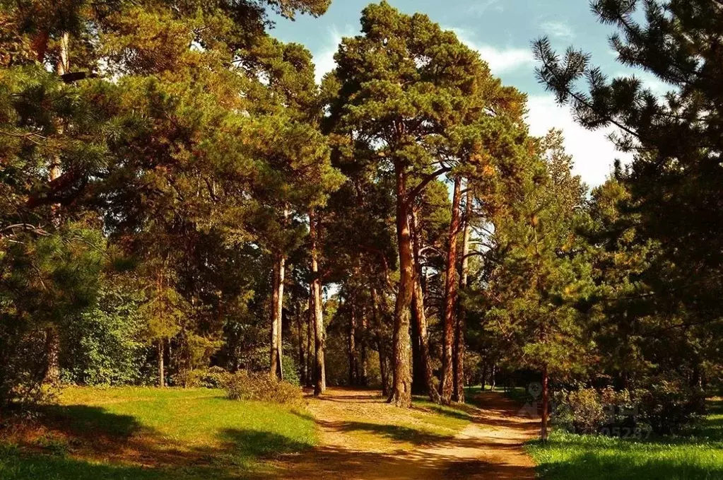 Участок в Самарская область, Красноярский район, Хорошенькое с/пос, ... - Фото 2