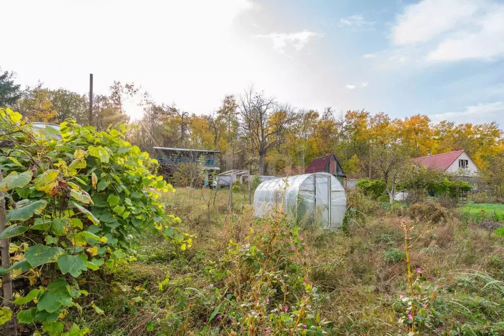 Дом в Хабаровский край, Хабаровский район, Елочка СНТ  (46 м) - Фото 2