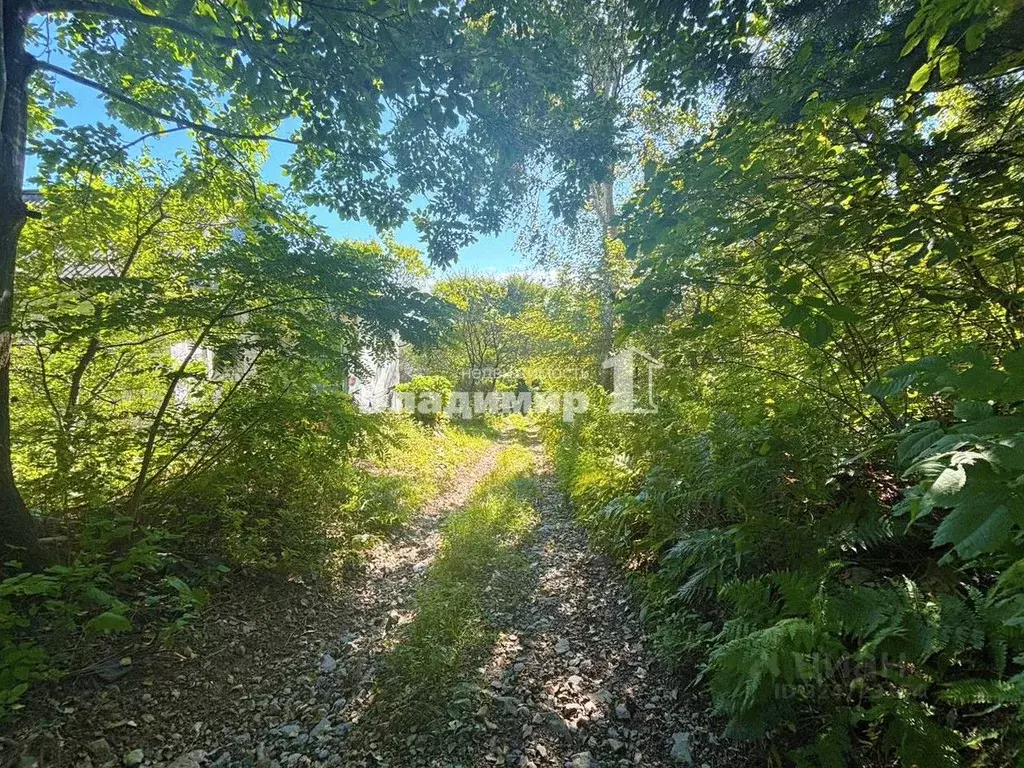 Участок в Приморский край, Находка Коммунальник СНТ, ул. Заречная ... - Фото 2