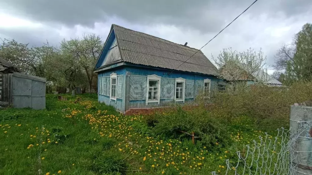 Купить Дачу В Фокино Брянской Области