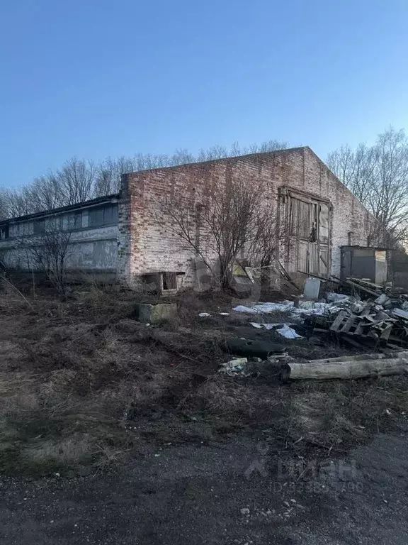 Склад в Тульская область, Алексин городской округ, д. Борисово  (1786 ... - Фото 1