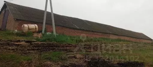 Гараж в Пензенская область, Бессоновский район, с. Александровка ... - Фото 1