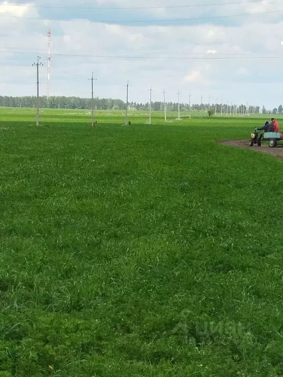 Участок в Свердловская область, Белоярский муниципальный округ  (880.0 ... - Фото 1