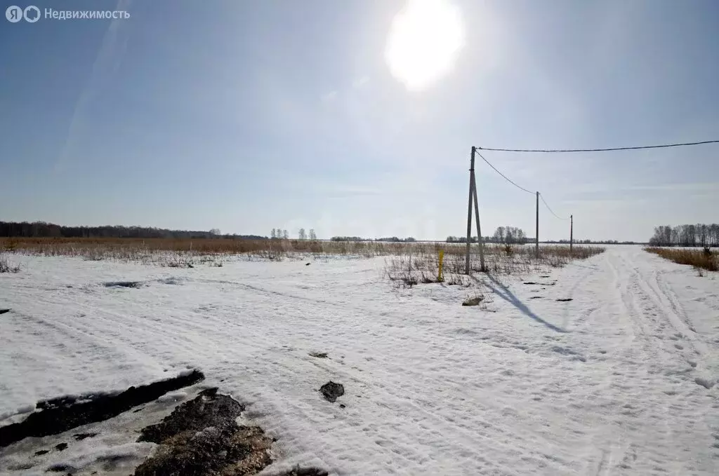 Участок в Заводоуковск, микрорайон Южный (8.97 м) - Фото 2