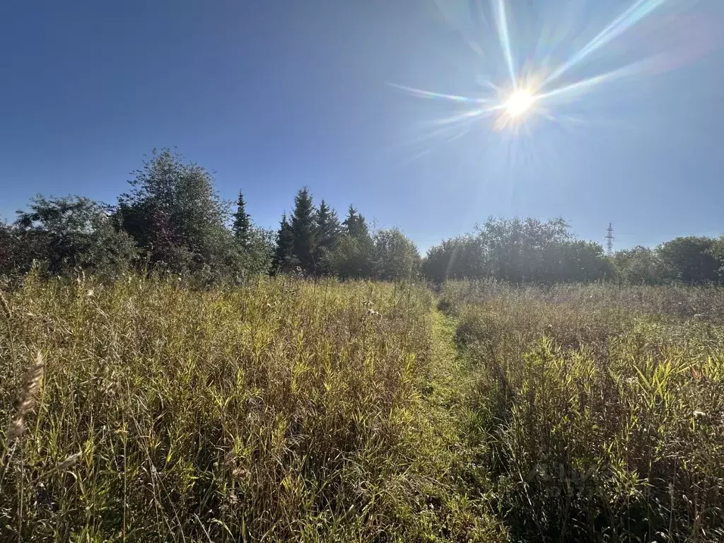 Участок в Пермский край, Пермский муниципальный округ, д. Дерибы  ... - Фото 2