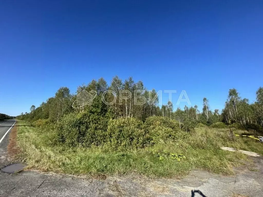 Участок в Тюменская область, Нижнетавдинский муниципальный округ, с. ... - Фото 1