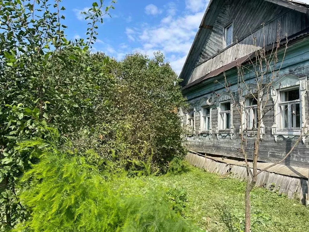 Участок в Московская область, Дмитровский муниципальный округ, д. ... - Фото 2