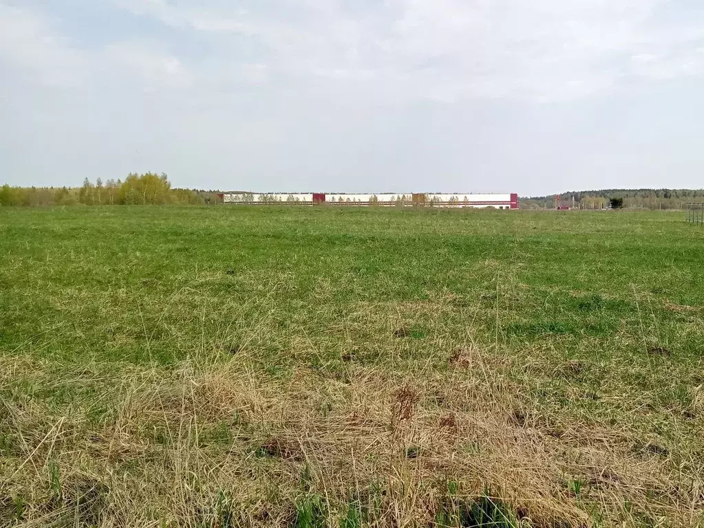 Участок в Московская область, Егорьевск муниципальный округ, д. Юрцово ... - Фото 0