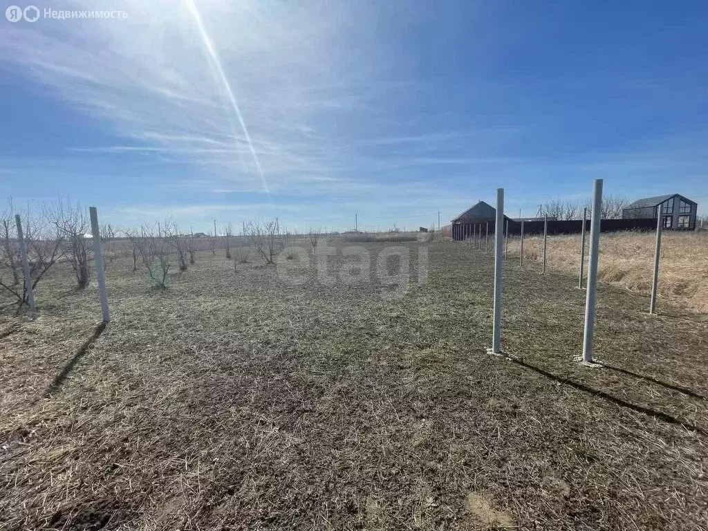 Участок в Новый, дачное некоммерческое товарищество Гигант (40 м) - Фото 2