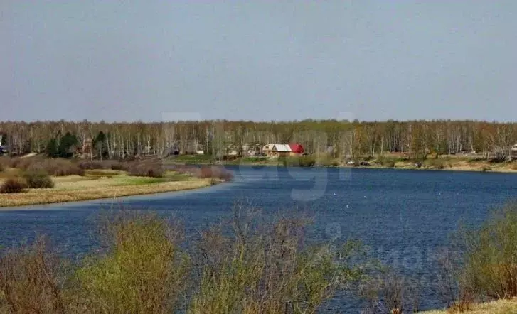 участок в тюменская область, тюменский район, д. решетникова (8.0 . - Фото 1