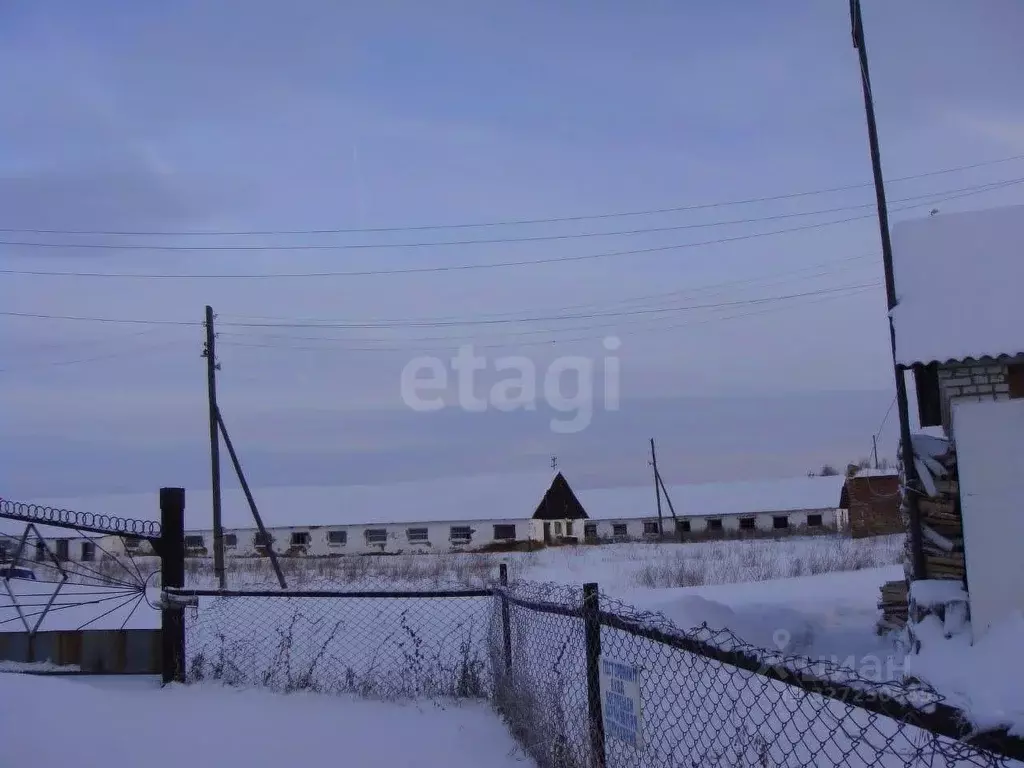 Склад в Курганская область, Шатровский муниципальный округ, д. Ударник ... - Фото 1