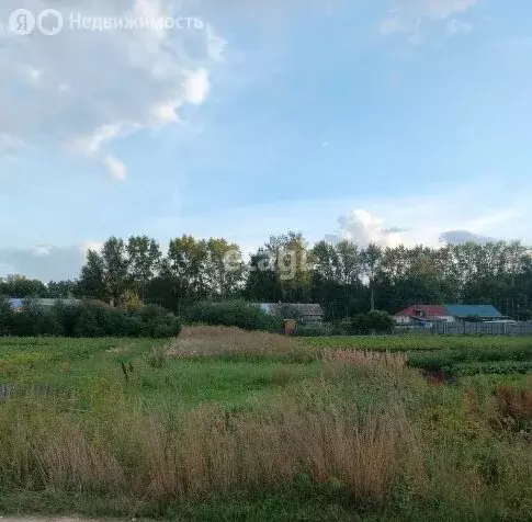 Участок в Мокшанский район, Рамзайский сельсовет, село Рамзай (5 м) - Фото 0