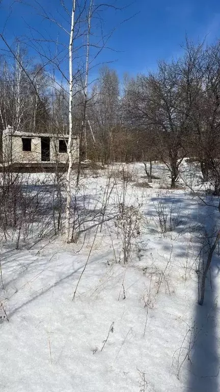 Участок в Амурская область, Благовещенск  (11.9 сот.) - Фото 0