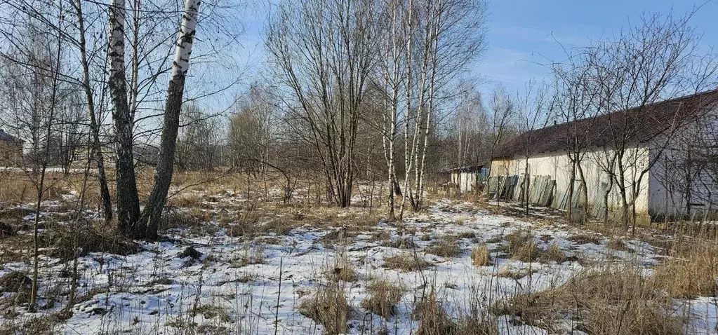Участок в Московская область, Луховицы ул. Славянская, 7 (12.0 сот.) - Фото 1