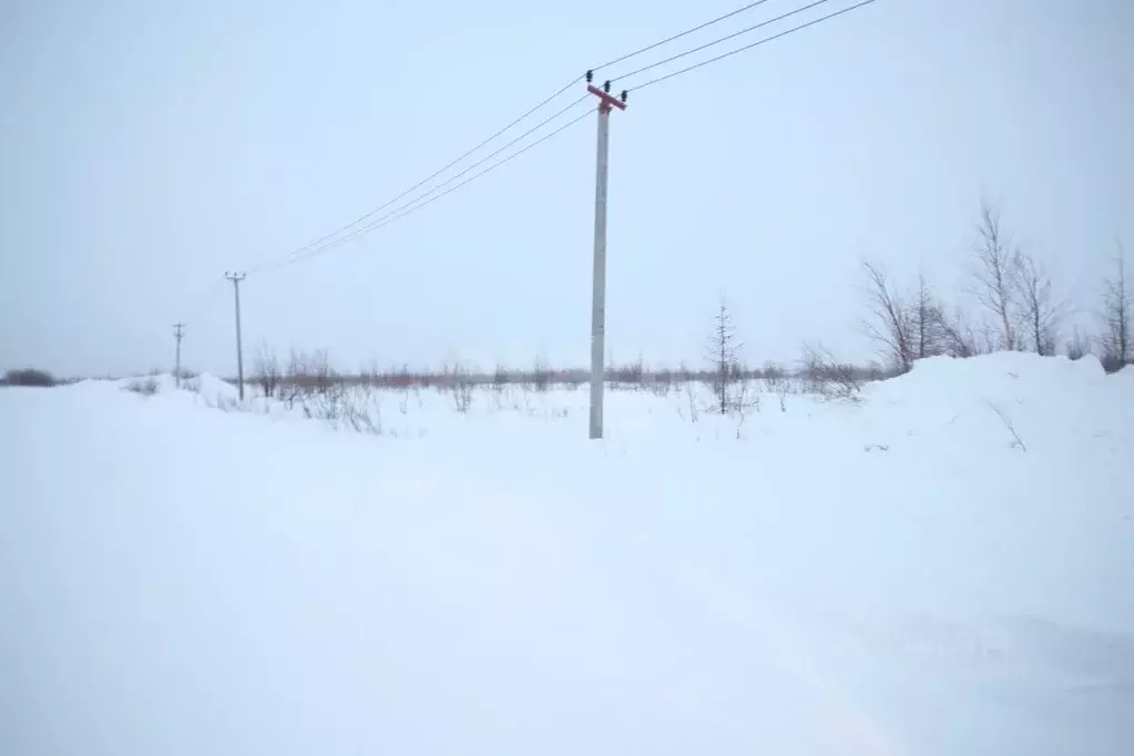Участок в Ямало-Ненецкий АО, Новый Уренгой ул. Рахманинова (6.0 сот.) - Фото 0