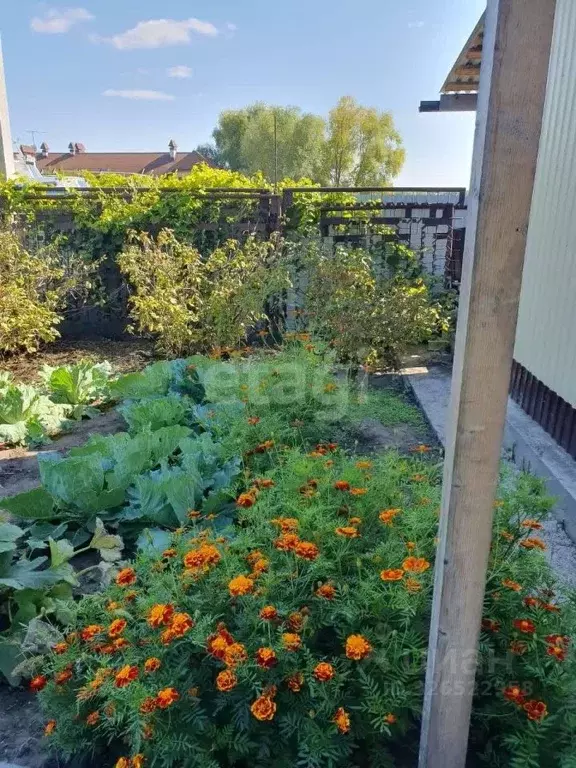 Дом в Ульяновская область, Чердаклинский район, Мирновское с/пос, ... - Фото 2