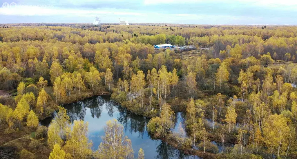 Участок в Московская область, городской округ Чехов, село Шарапово ... - Фото 1