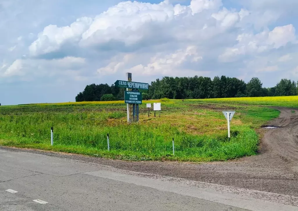 Участок в Кемеровская область, Топкинский район, с. Черемичкино ... - Фото 0