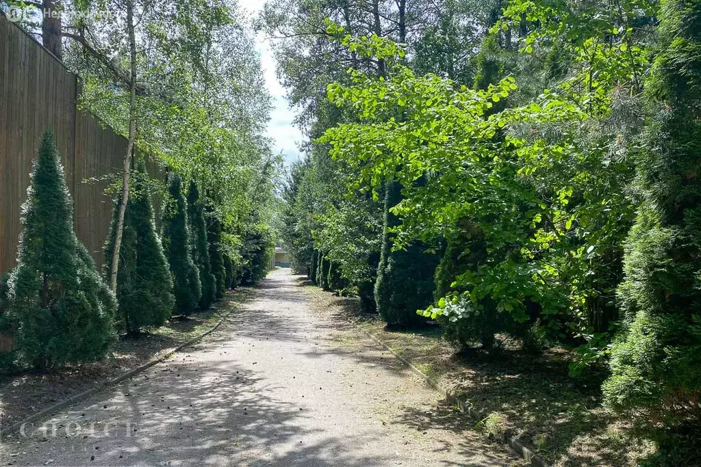 Участок в деревня Бородки, КП Грибово (160 м) - Фото 1