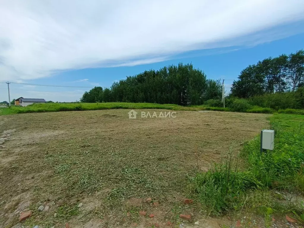 Участок в Калининградская область, Зеленоградский муниципальный округ, ... - Фото 1