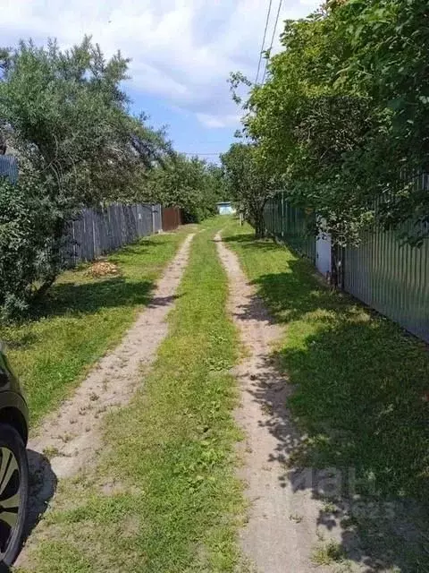 Дом в Брянская область, Брянск  (24 м) - Фото 2