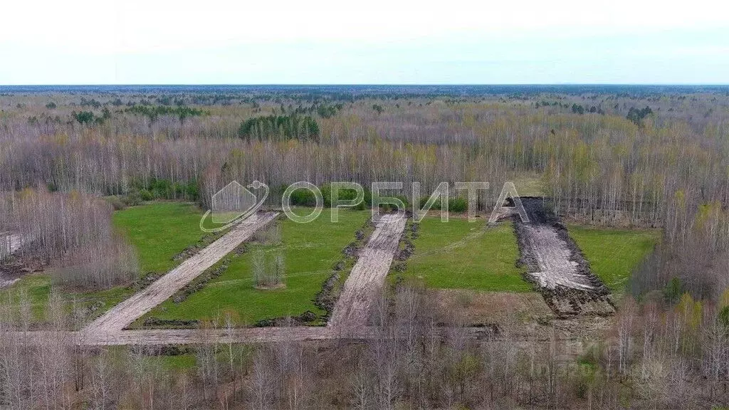 Участок в Тюменская область, Нижнетавдинский район, пос. Березовка  ... - Фото 1