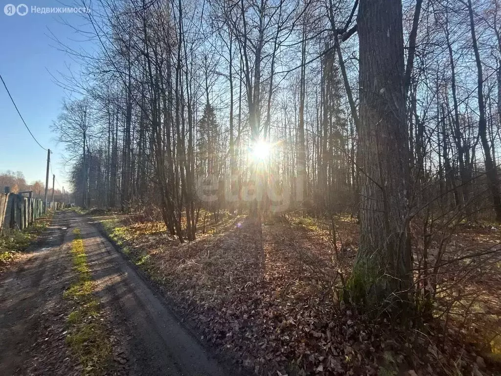 Участок в Пермь, СНТ Политехник (8 м) - Фото 2