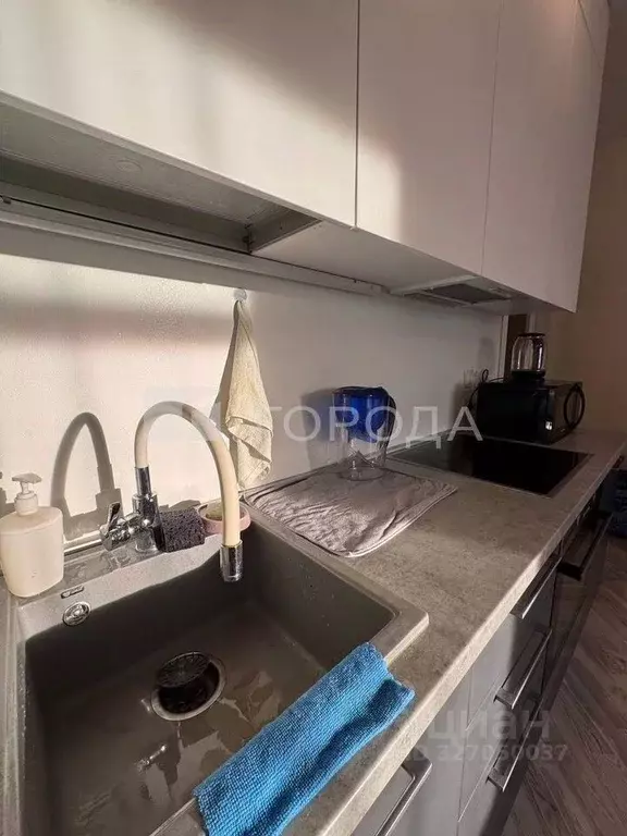 Студия Новосибирская область, Новосибирск Красный просп., 313 (28.0 м) - Фото 2