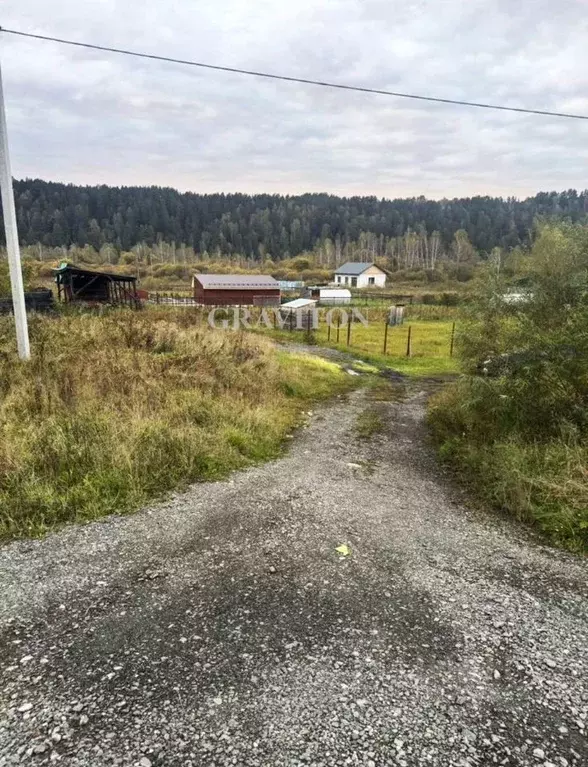 Участок в Алтай, Майминский район, с. Кызыл-Озек ул. Радужная (6.0 ... - Фото 2