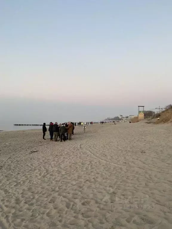 Участок в Калининградская область, Зеленоградск пос. Клинцовка,  (4.0 ... - Фото 2