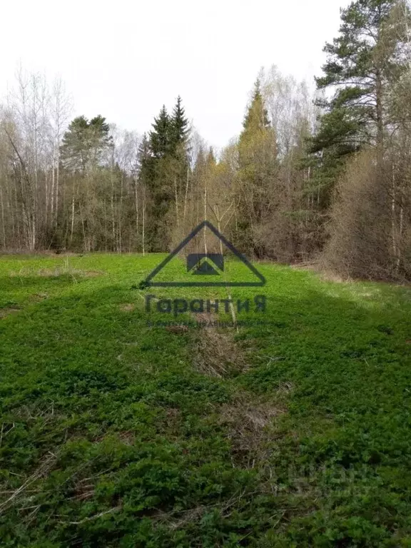 Участок в Московская область, Дмитровский муниципальный округ, ... - Фото 1