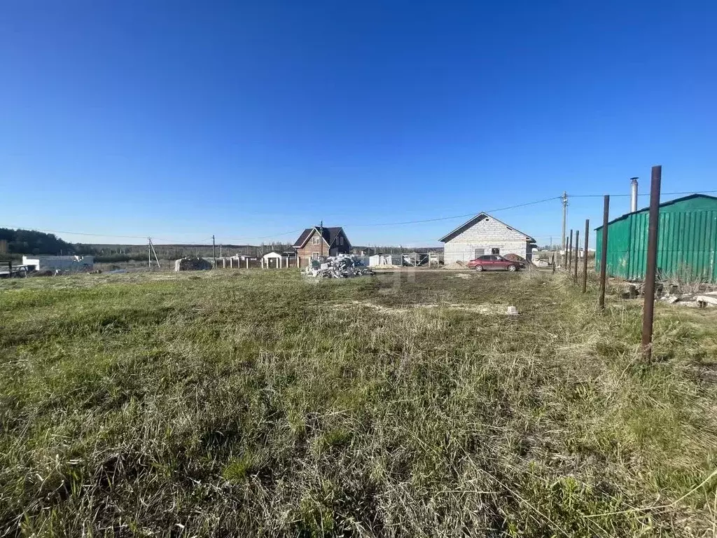 Участок в Свердловская область, Белоярский городской округ, д. Гусева, ... - Фото 1