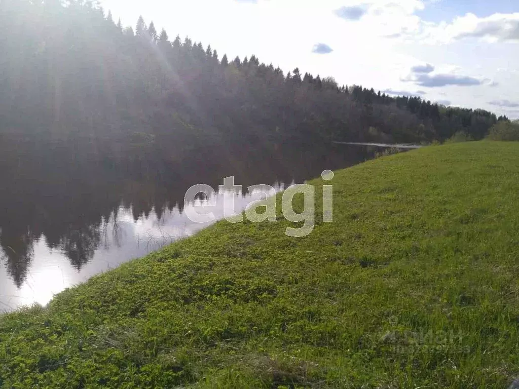 Участок в Вологодская область, д. Ильинское (Октябрьский сельсовет) ... - Фото 2