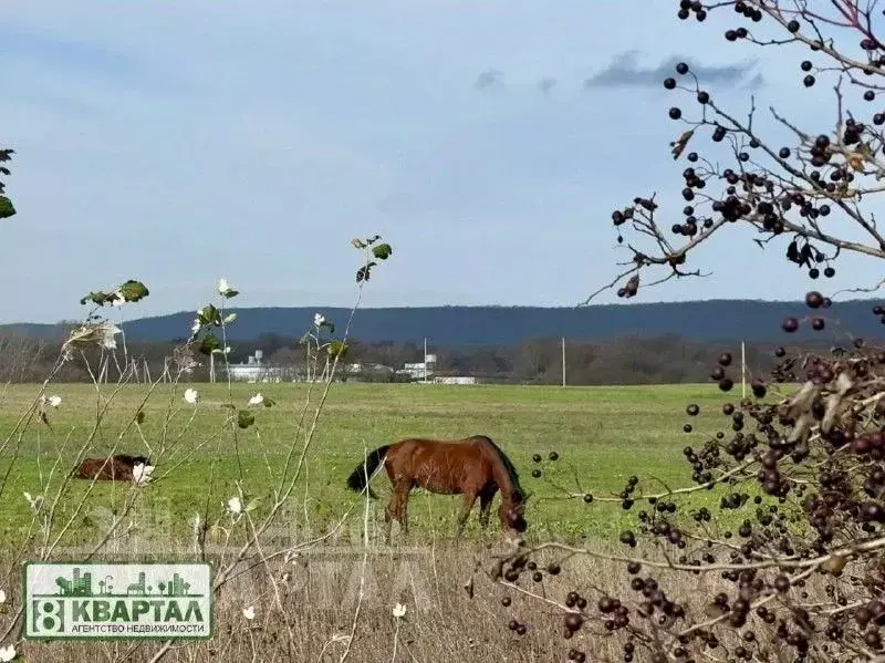 Дом в Краснодарский край, Новороссийск ул. Калинина, 25/35 (130 м) - Фото 1