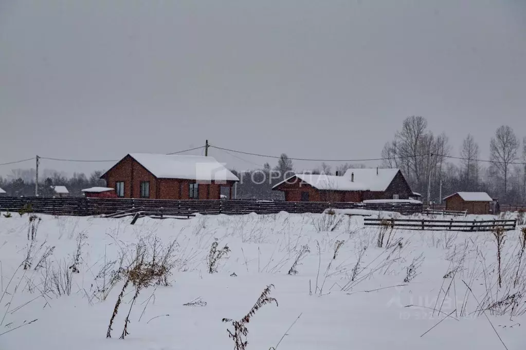 Участок в Кемеровская область, Мыски Сосновая ул., 19 (15.0 сот.) - Фото 1