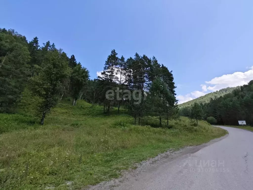 Участок в Алтай, Майминский район, пос. Карым  (74.8 сот.) - Фото 1