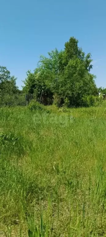 Участок в Алтайский край, Первомайский район, с. Санниково, Овощевод ... - Фото 1
