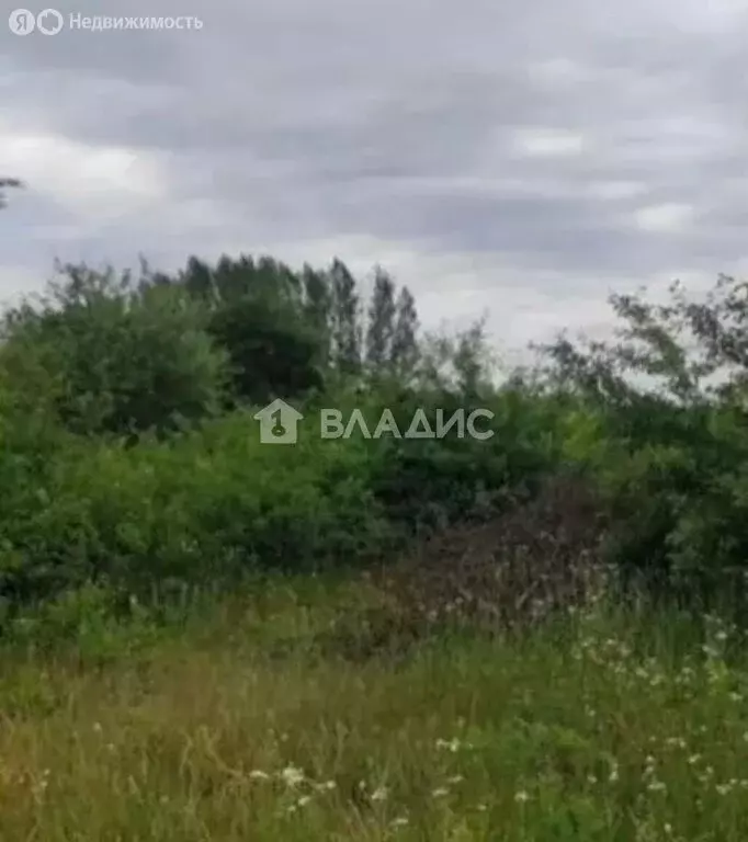 Участок в Белгородская область, Яковлевский муниципальный округ, ... - Фото 1