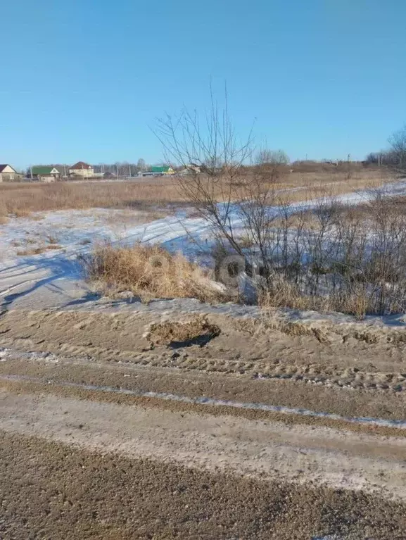 Участок в Амурская область, с. Ивановка  (15.0 сот.) - Фото 1