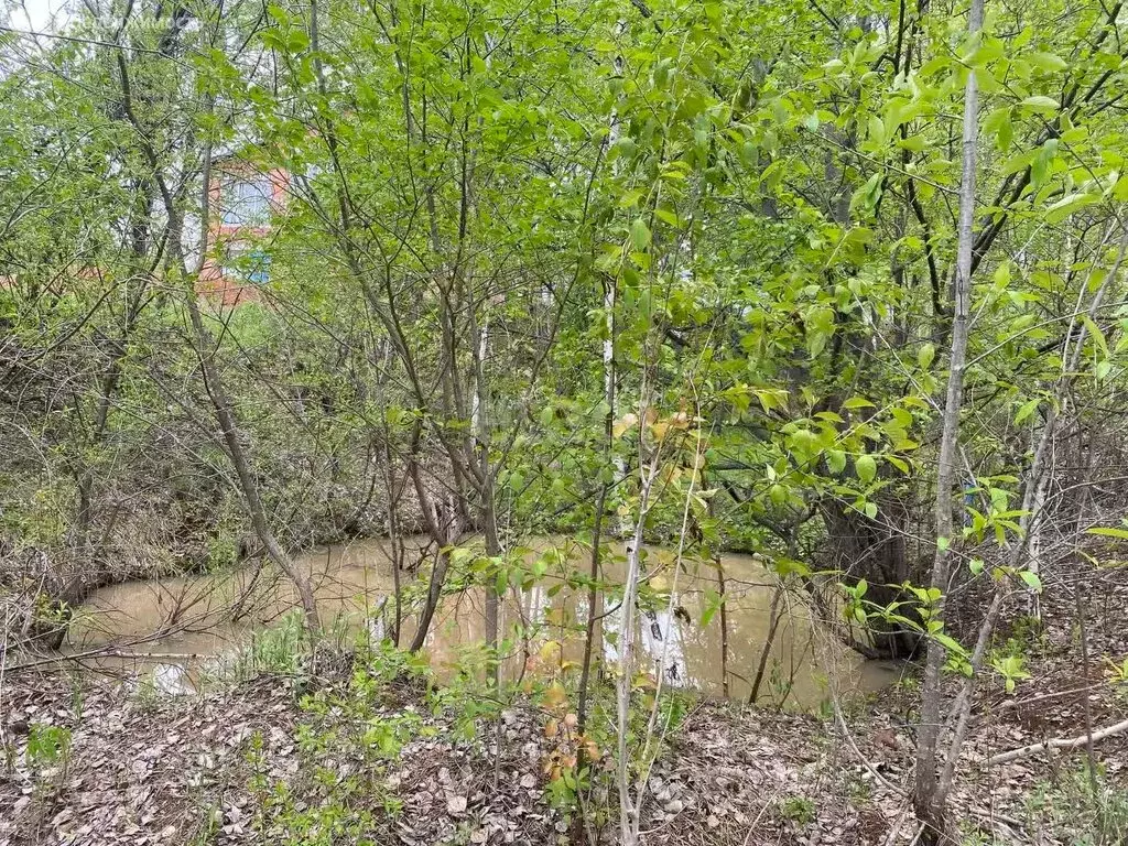 Участок в Хабаровск, Садоводческое некоммерческое товарищество ... - Фото 1