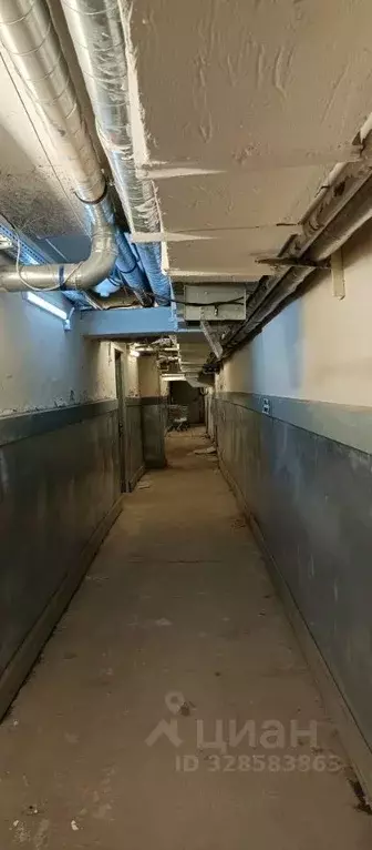 Помещение свободного назначения в Ярославская область, Ярославль ул. ... - Фото 2