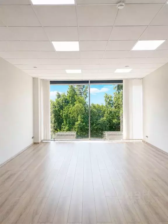 Офис в Санкт-Петербург ул. Фучика, 25 (25 м) - Фото 1